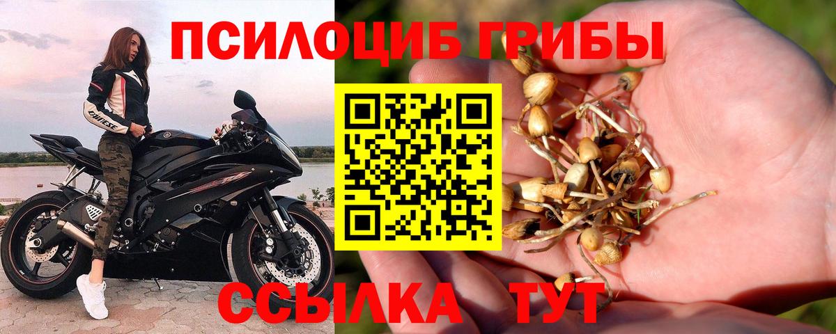 Учалы  Псилоцибиновые грибы Psilocybe  Вход с VPN  Псилоцибиновые грибы ЛСД 