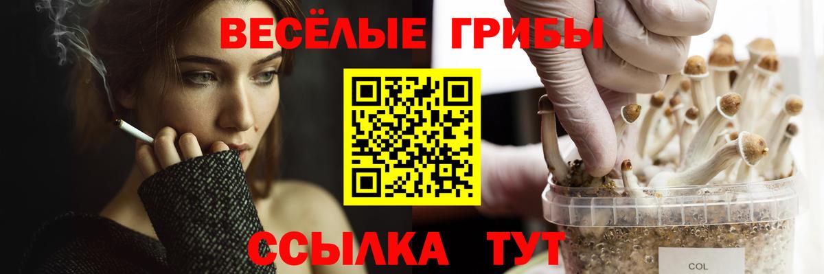 Гашиш  Вейп ТГК  Мефедрон   Учалы  Бошки Шишки  COCAIN  Вход с VPN 
